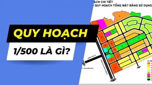 quy hoạc 1 /500 là gì tin tức Avio Homes cập nhật